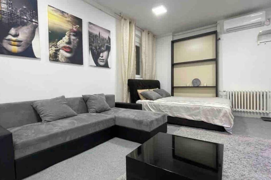 Dorcol Lux Studio Apartamento Belgrado Exterior foto